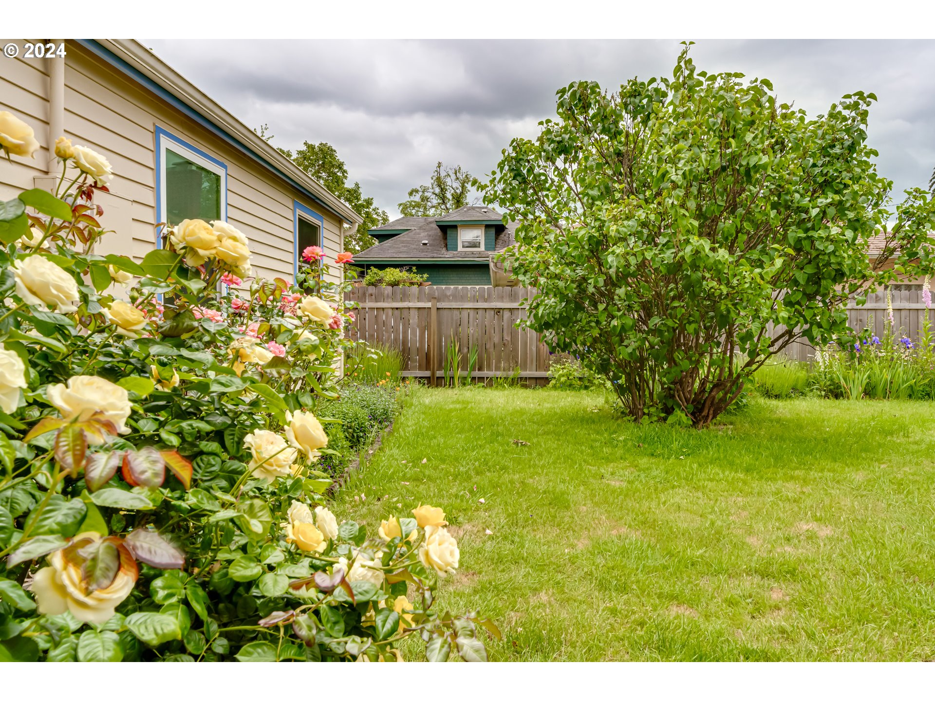 1038 5th Street Springfield, OR 97477 - Photo 20 of 26 a backyard of a house with lots of green space