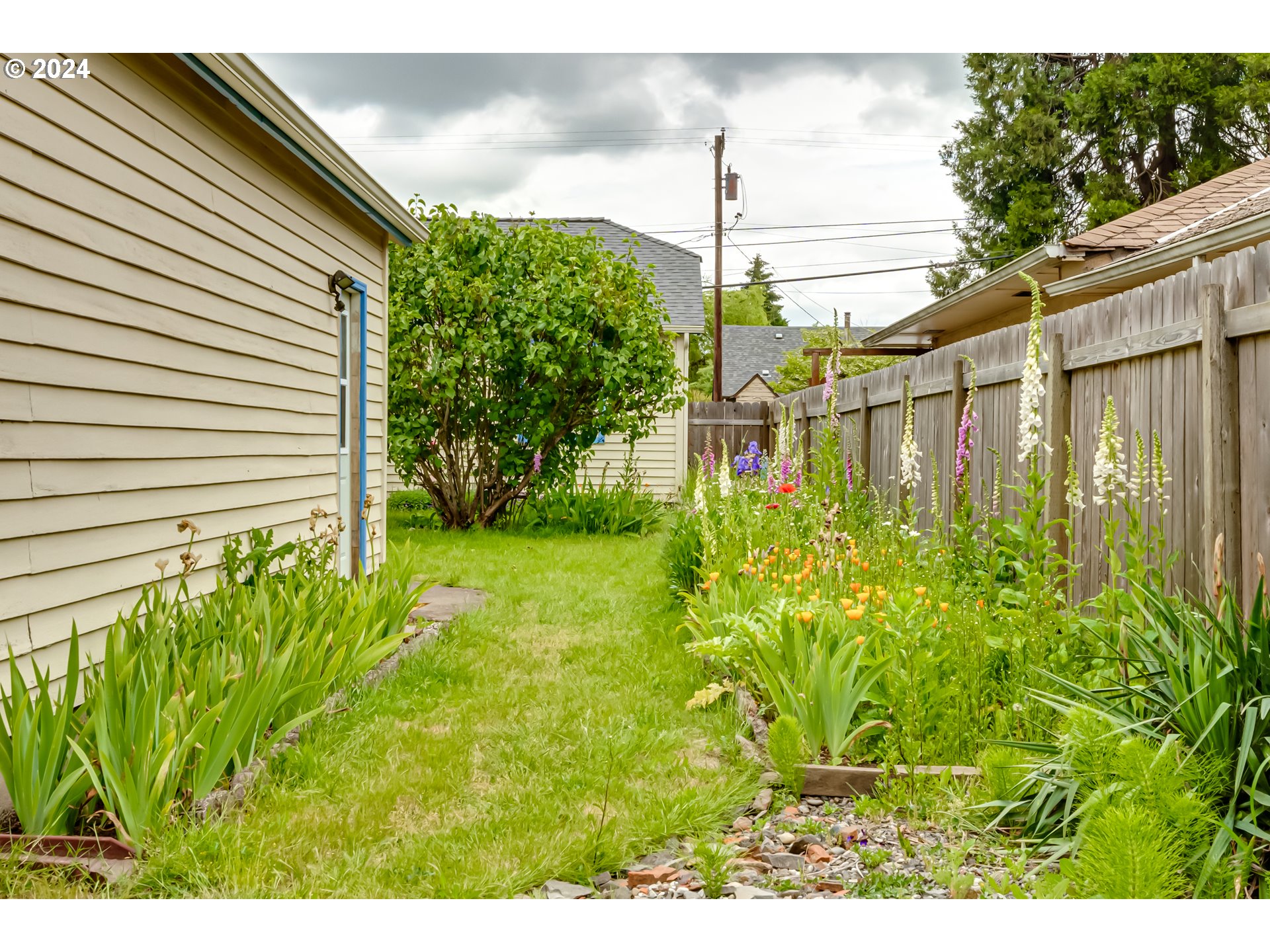 1038 5th Street Springfield, OR 97477 - Photo 24 of 26 a view of a yard with plants