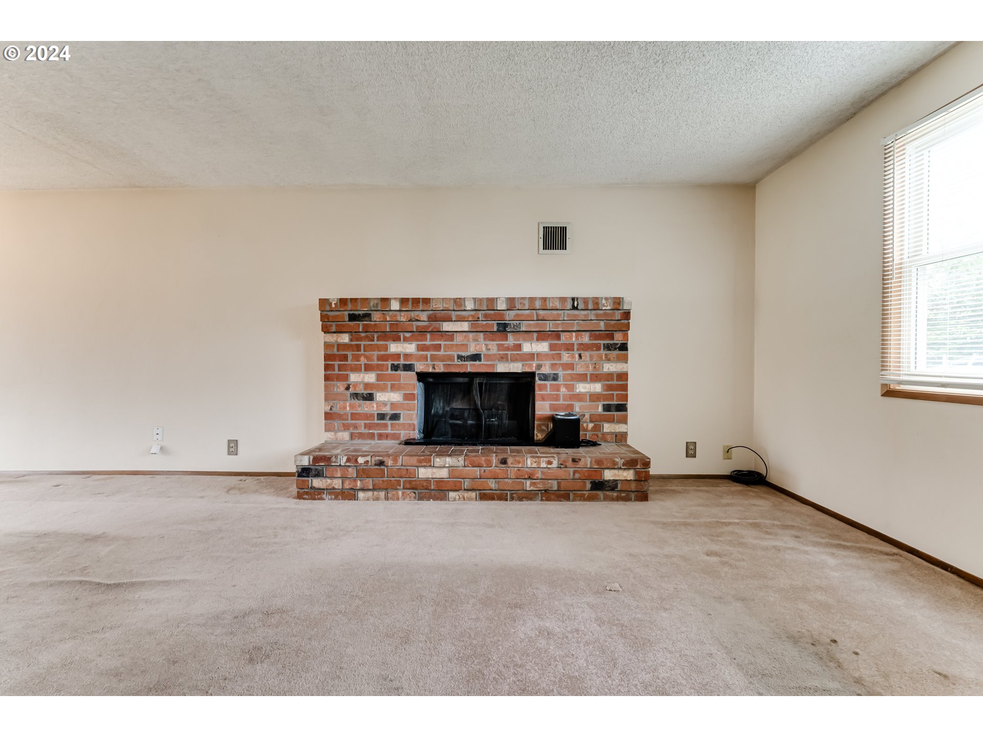 1038 5th Street Springfield, OR 97477 - Photo 7 of 26 a view of fireplace with washer and dryer