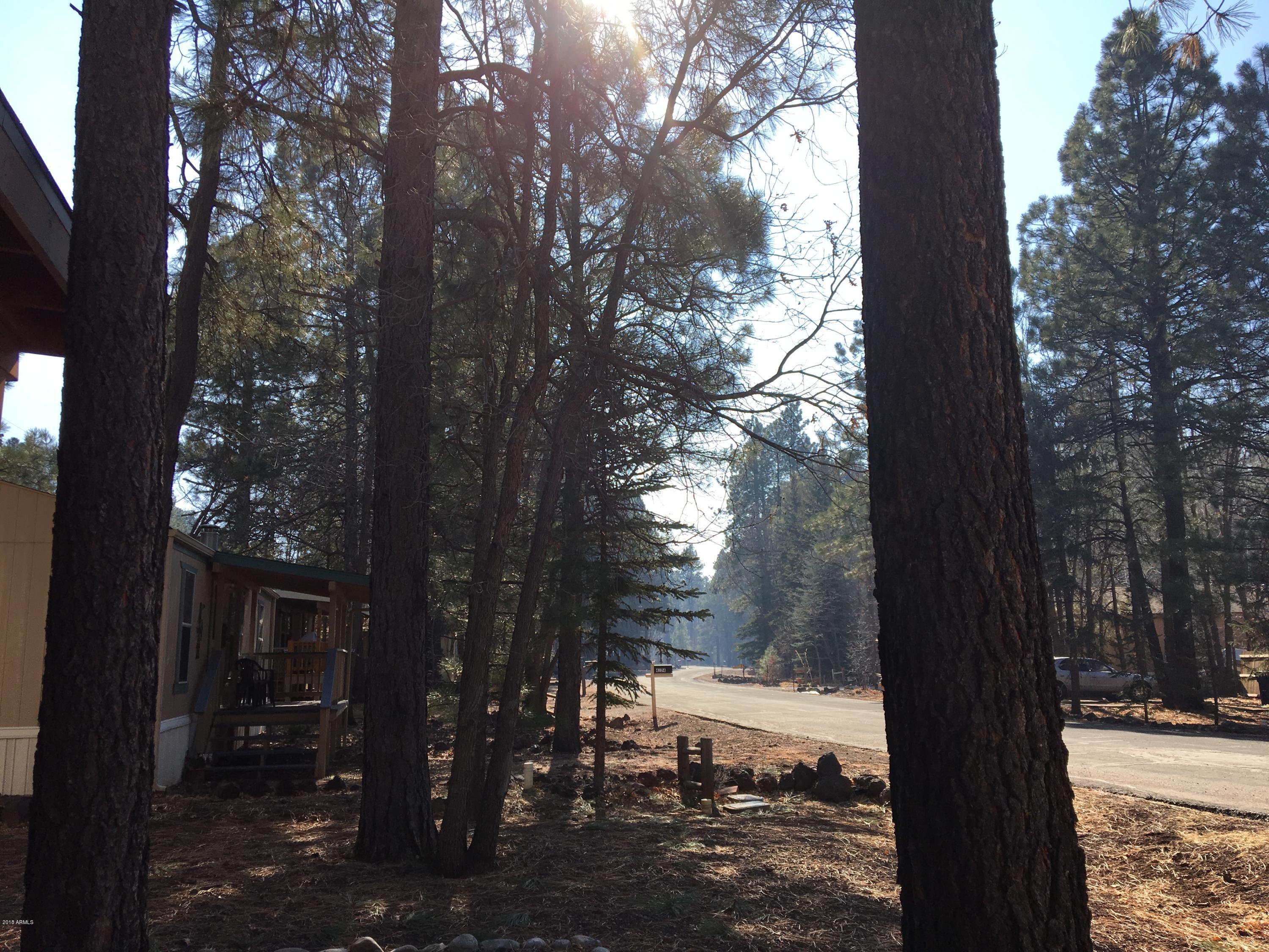4243 East Blue Ridge Loop Pinetop, AZ 85935 - Photo 17 of 21 Neighborhood view 2