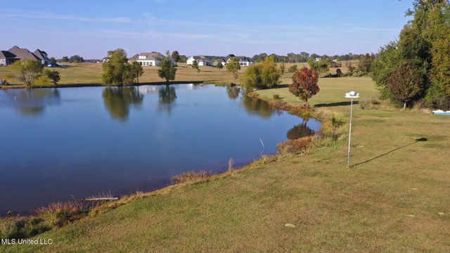 $985,000 | 104 Chamberlin Court, Madison, MS 39110