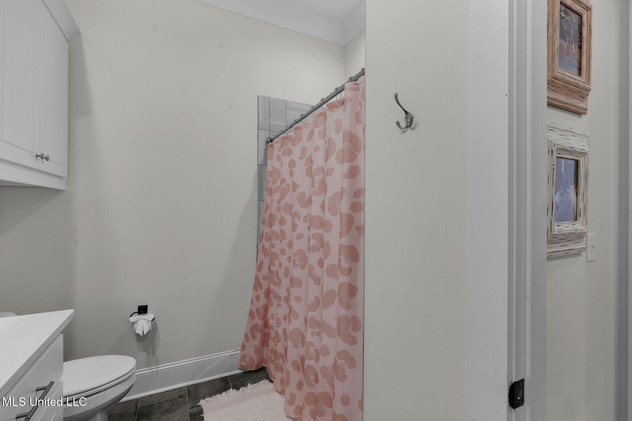 104 Chamberlin Court Madison, MS 39110 - Photo 68 of 106 Guest Bathroom 4