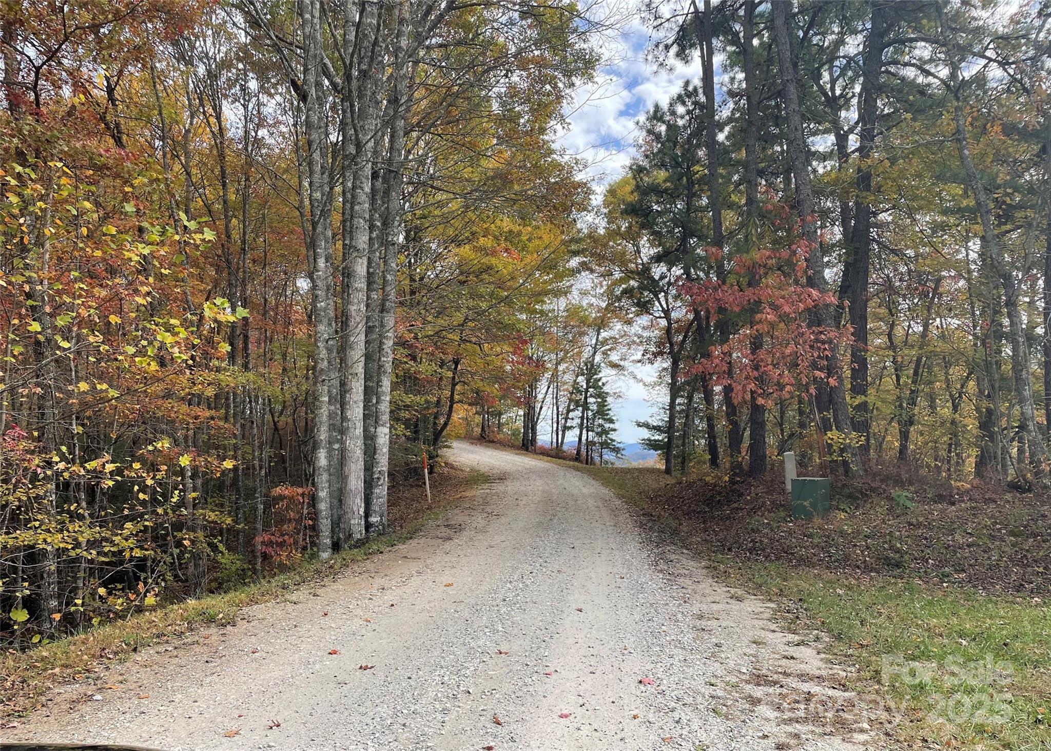 Lot 8 Rocky Ridge Road Bryson City, NC 28713 - Photo 2 of 13 a view of a forest with trees
