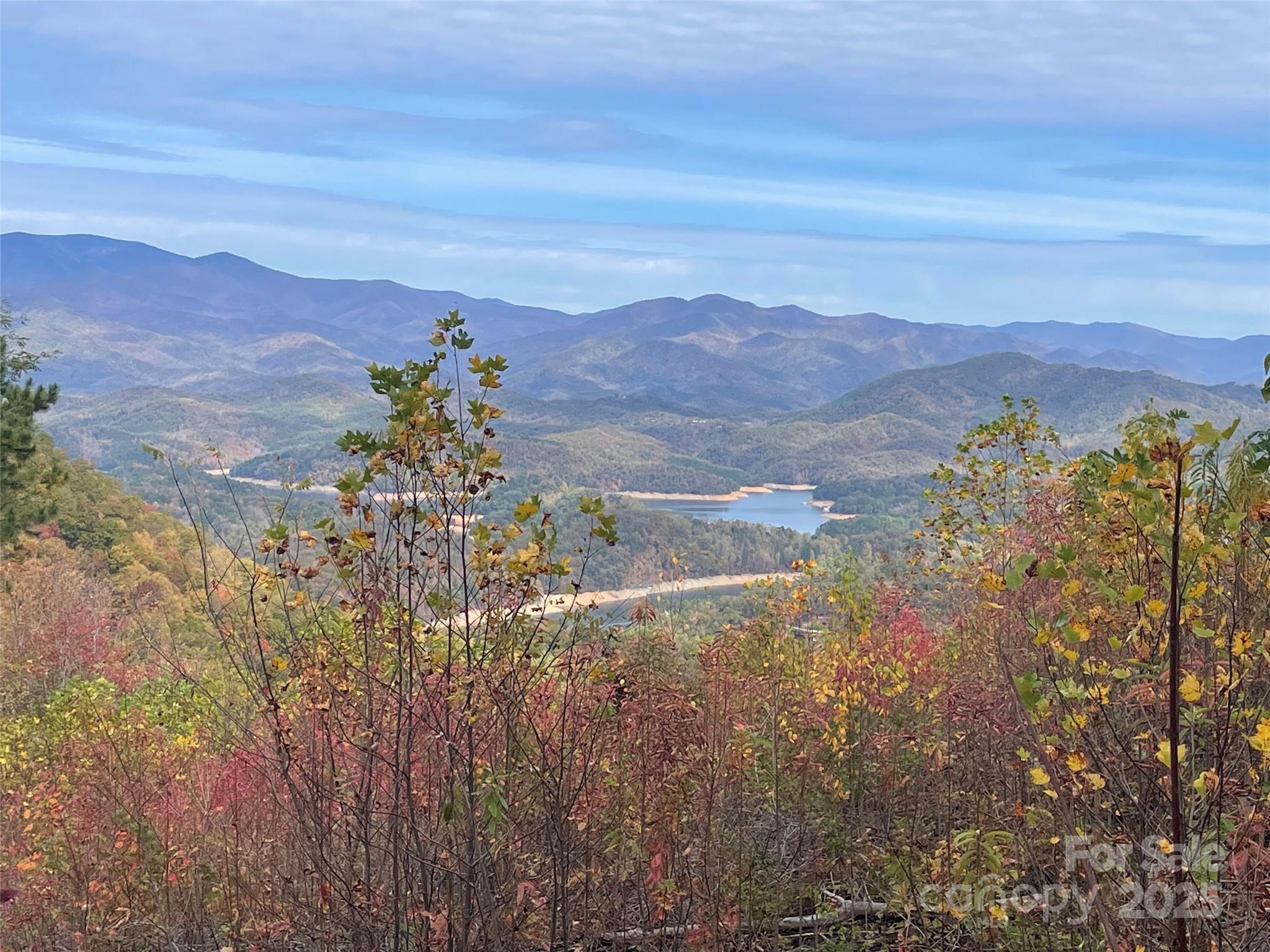 Lot 8 Rocky Ridge Road Bryson City, NC 28713 - Photo 4 of 13 a view of a yard with a mountain