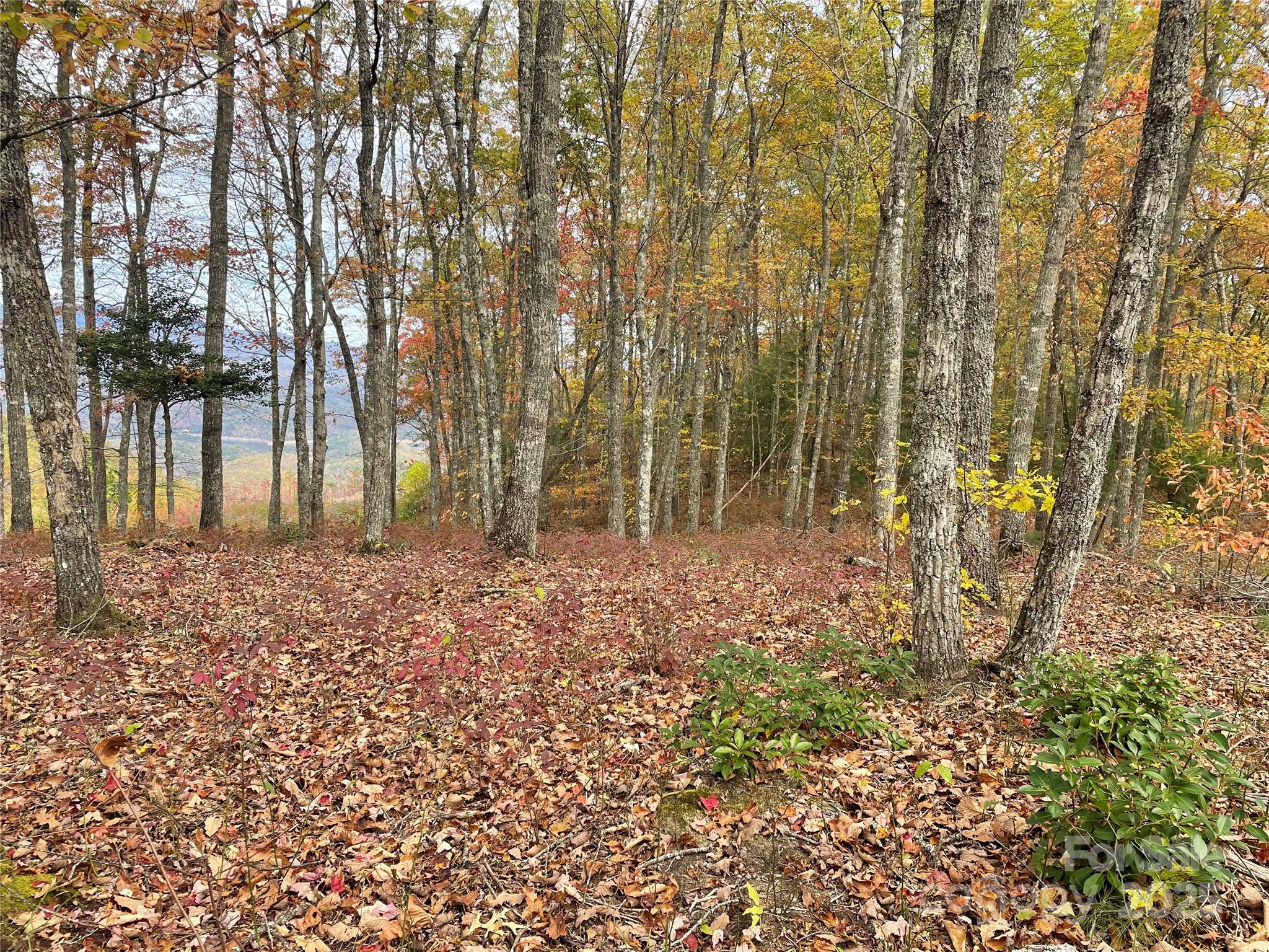 Lot 8 Rocky Ridge Road Bryson City, NC 28713 - Photo 7 of 13 a backyard of a house with lots of green space and fog