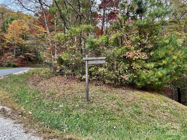 a backyard of a house with a tree