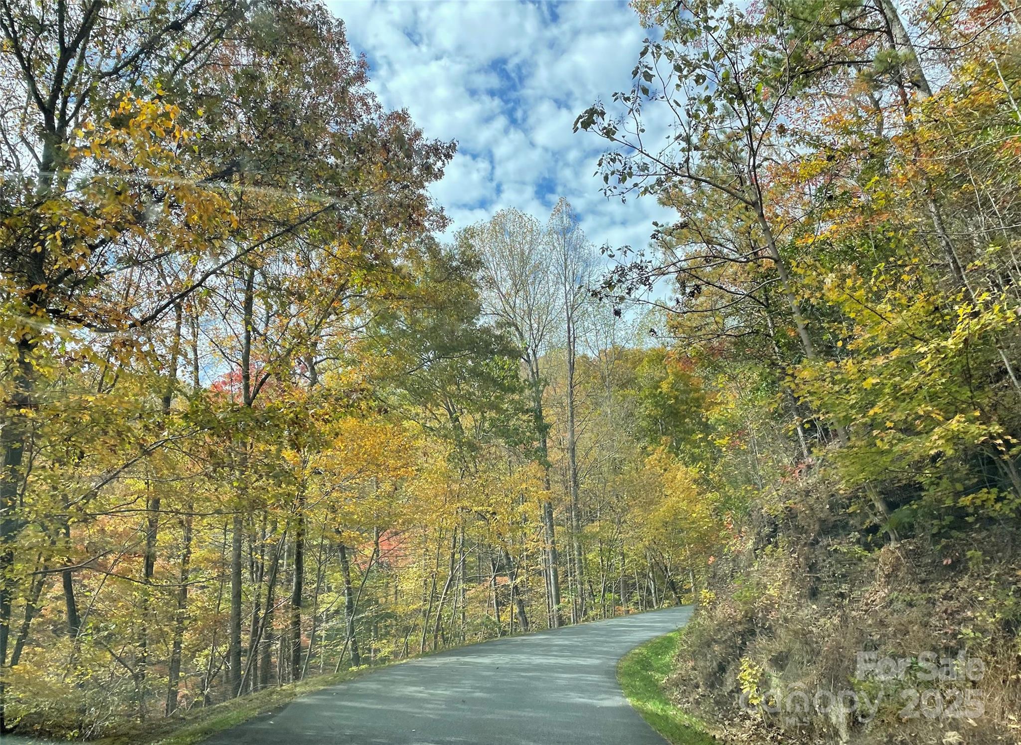 Lot 8 Rocky Ridge Road Bryson City, NC 28713 - Photo 9 of 13 a view of a yard