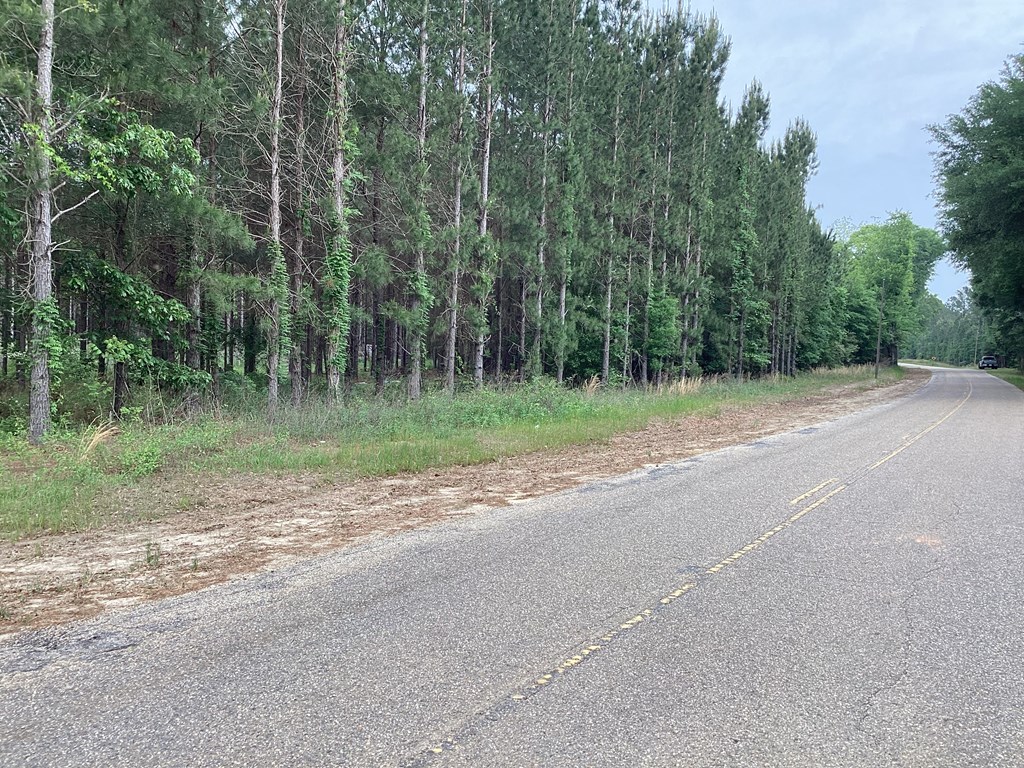 1290 Guy Branch Road Cottonwood, AL 36320 - Photo 8 of 20