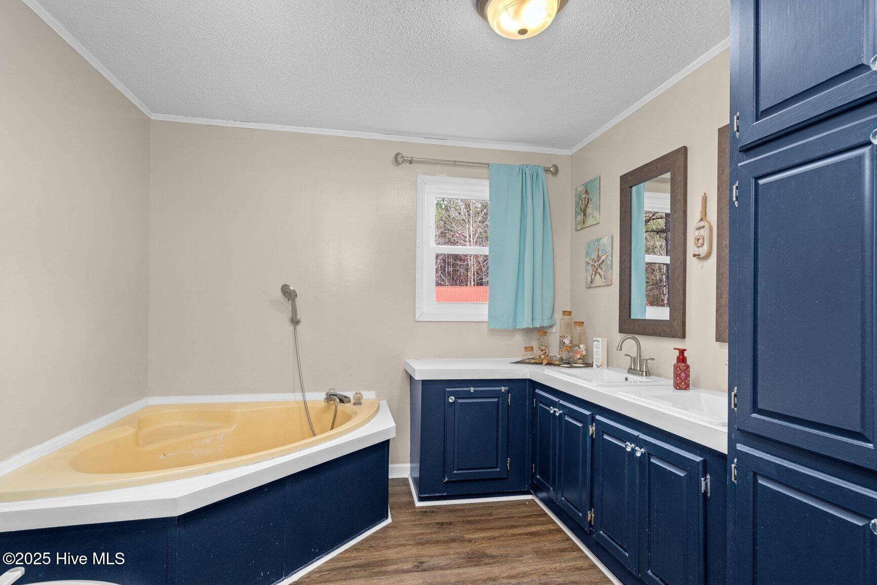 3824 Harrison Road Castalia, NC 27816 - Photo 23 of 47 Soaker Garden Tub