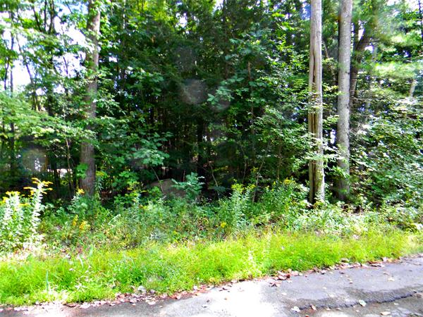 225 Island Road Lunenburg, MA 01462 - Photo 22 of 30 a view of a garden