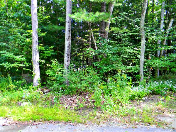 225 Island Road Lunenburg, MA 01462 - Photo 23 of 30 a view of a garden with plants