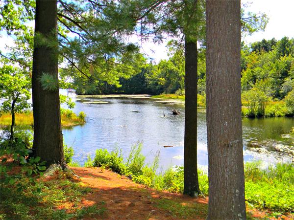 225 Island Road Lunenburg, MA 01462 - Photo 25 of 30 a view of a pathway with a tree in front of it