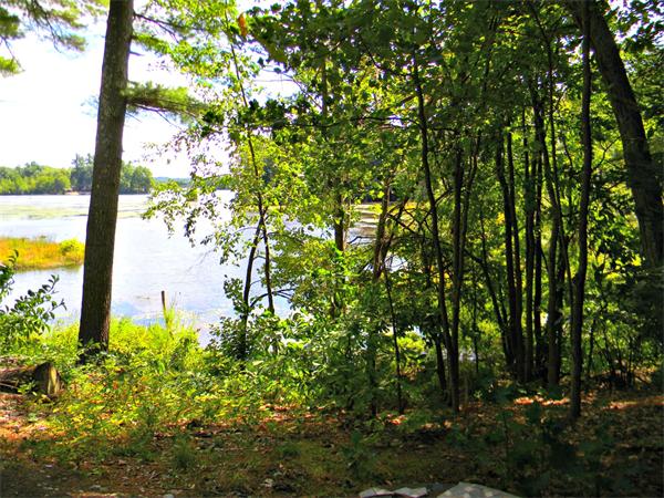225 Island Road Lunenburg, MA 01462 - Photo 26 of 30 a view of a yard