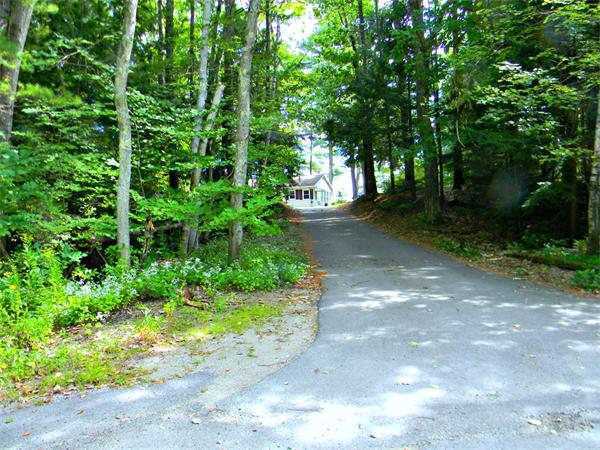 225 Island Road Lunenburg, MA 01462 - Photo 3 of 30 a view of a tree in a garden