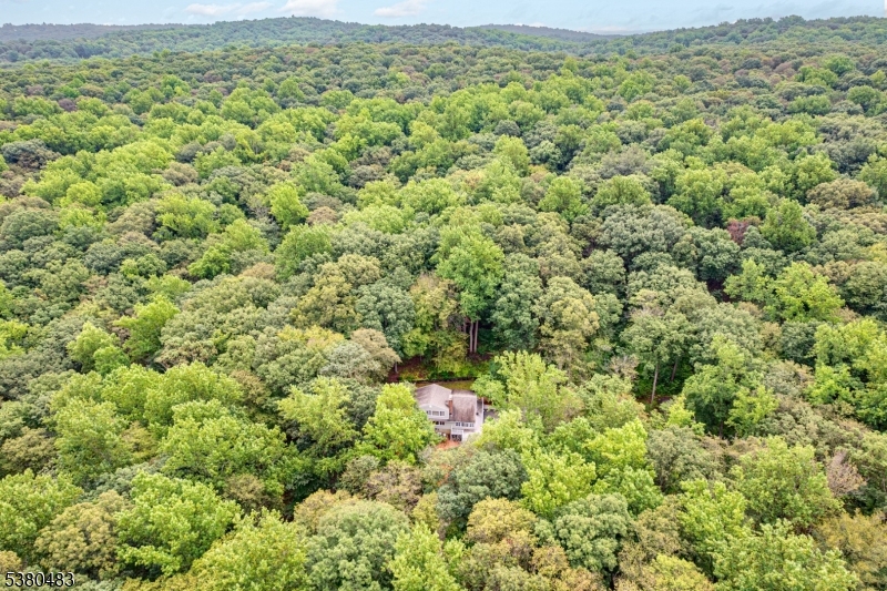 11 Indian Hollow Road Mendham, NJ 07945 - Photo 2 of 26 an aerial view of residential houses with outdoor space and trees