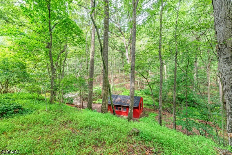 11 Indian Hollow Road Mendham, NJ 07945 - Photo 23 of 26 a view of outdoor space with a big yard and large trees