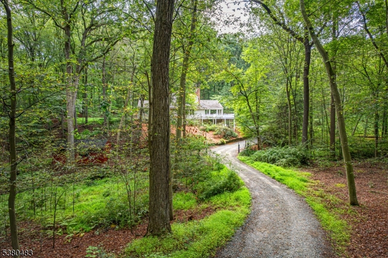 11 Indian Hollow Road Mendham, NJ 07945 - Photo 3 of 26 a view of a yard with a trees