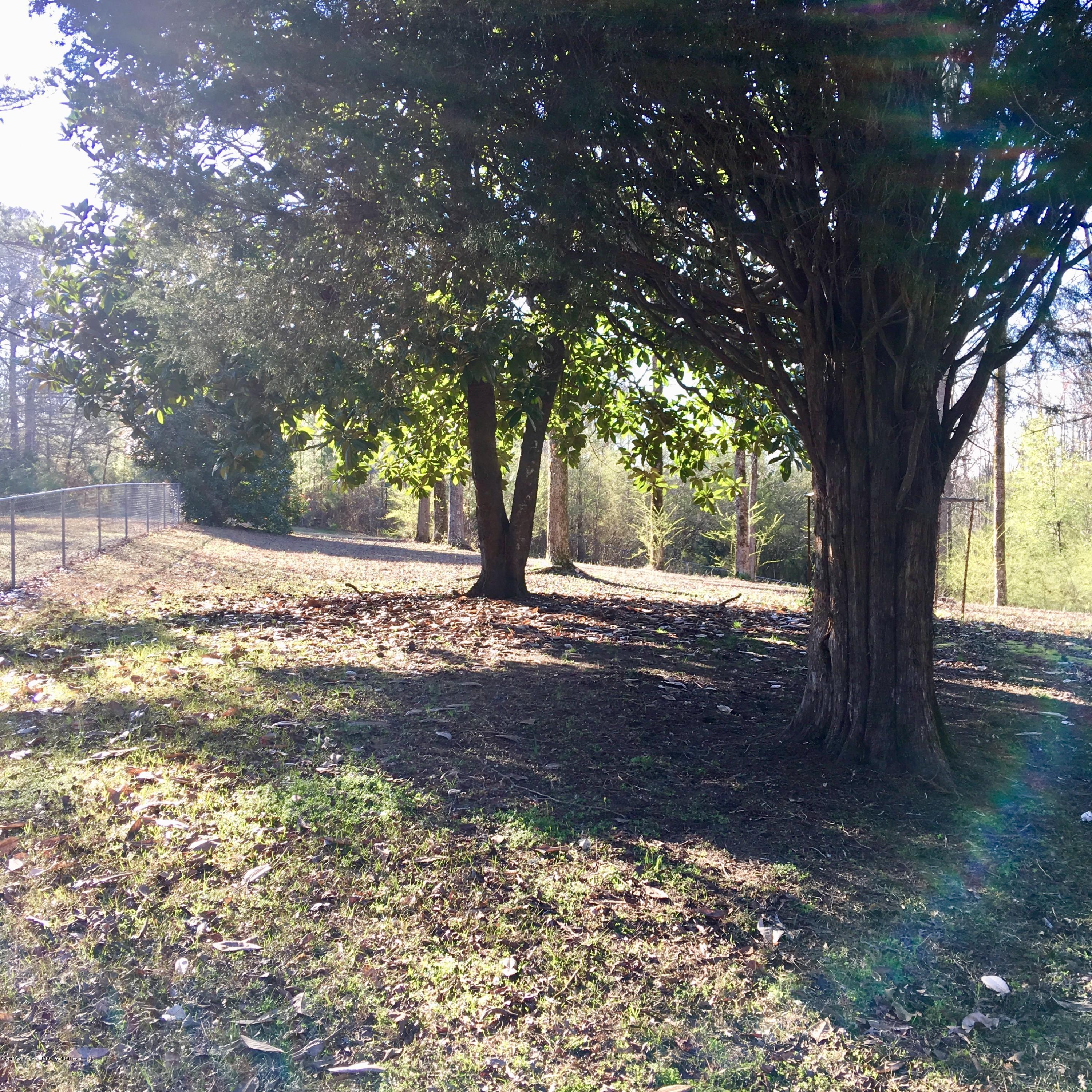 311 Hill Road Dora, AL 35062 - Photo 12 of 13 Gallery Image 12