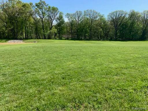 Lot 2 Misty Meadow Road Howell, MI 48855 - Photo 2 of 4 Gallery Image 2