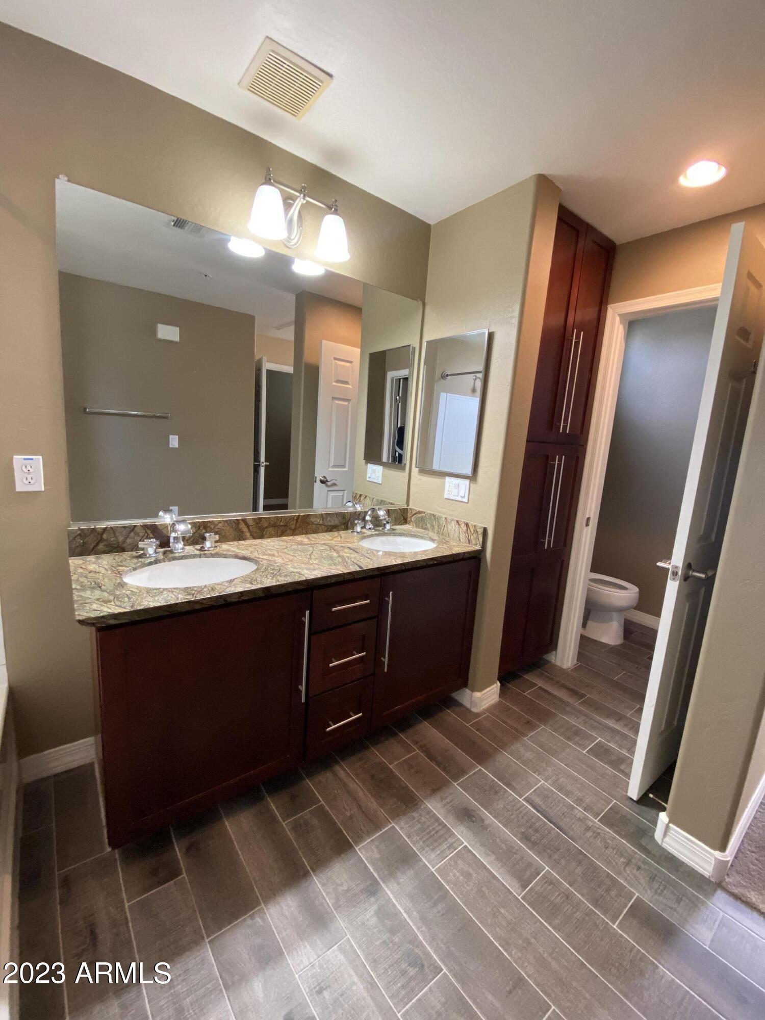 615 East Portland Street, Unit 113 Phoenix, AZ 85004 - Photo 18 of 28 a bathroom with a sink vanity and a mirror