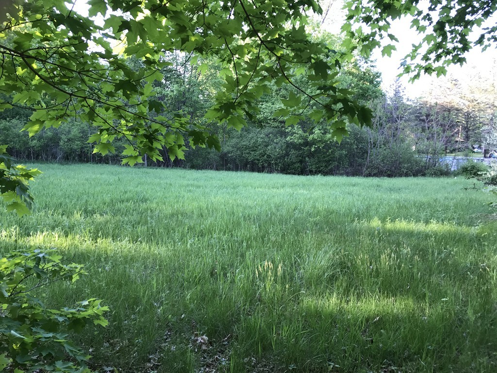 Lot 1 Bay Road Belchertown, MA 01007 - Photo 1 of 6 Gallery Image 1