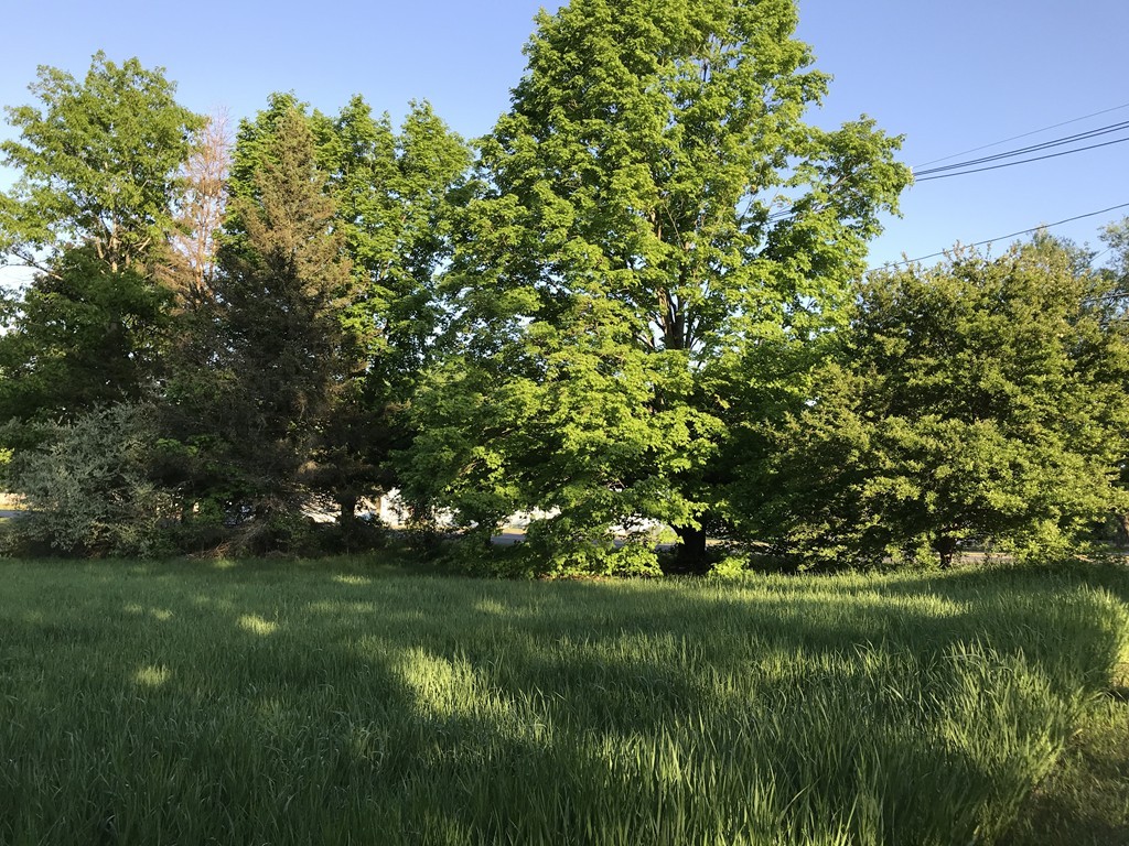 Lot 1 Bay Road Belchertown, MA 01007 - Photo 3 of 6 Gallery Image 3