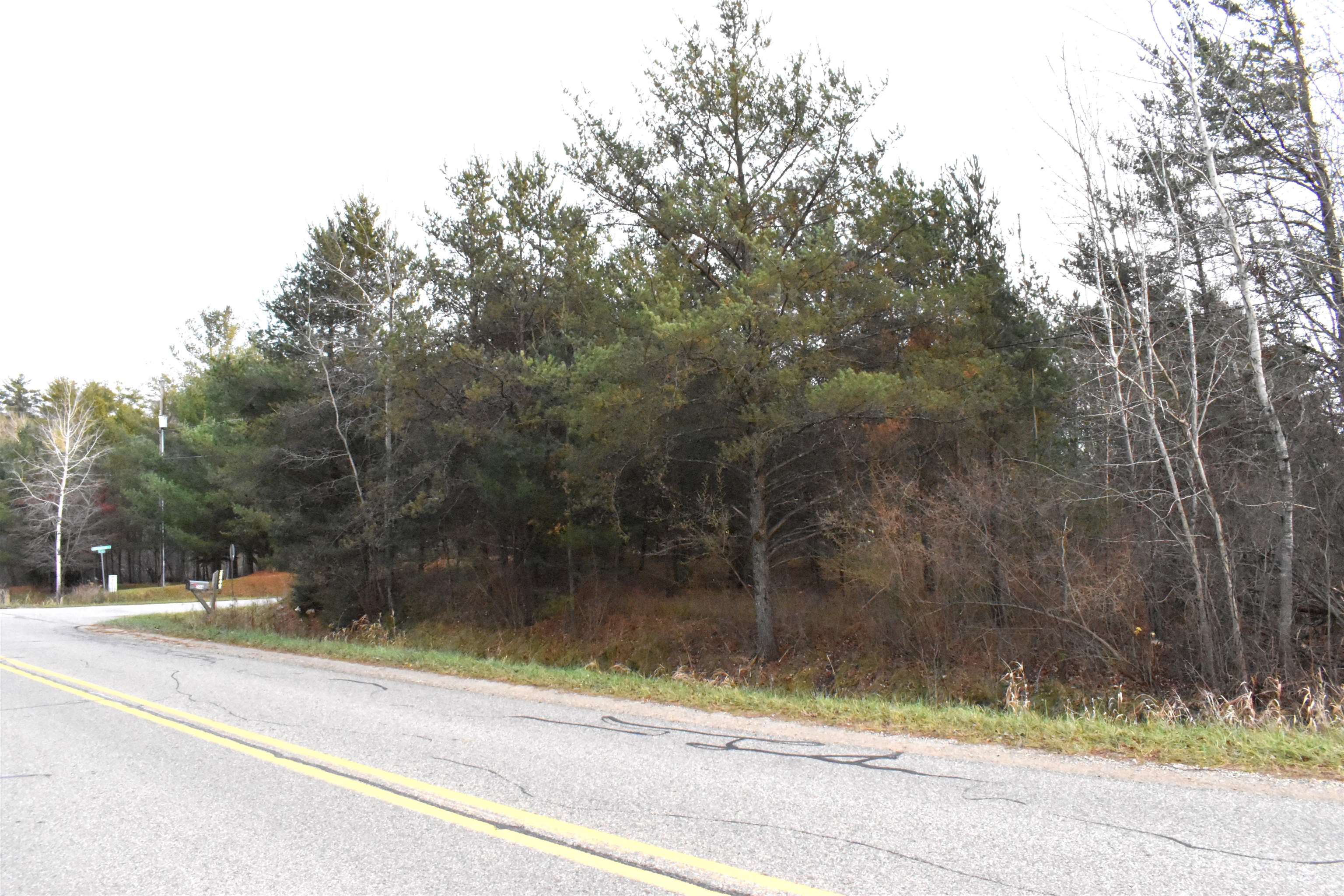Lot 11 North Westchester Road Gladwin, MI 48624 - Photo 2 of 6