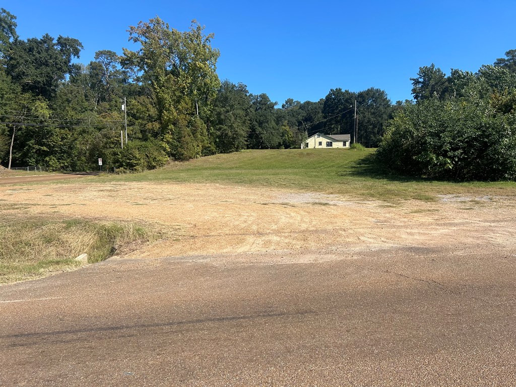 275 Lower Woodville Road Natchez, MS 39120 - Photo 4 of 6 Photo 4