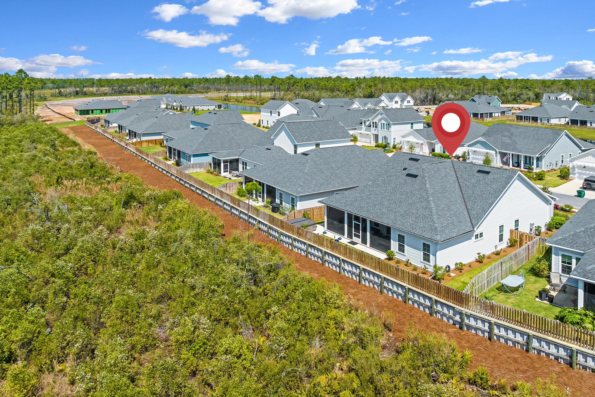 197 Suwannee Dr Inlet Beach Inlet Beach, FL 32461 - Photo 7 of 65 Aerial View | Backyard