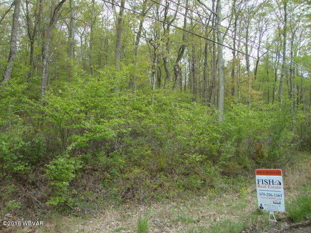 11274 Buffalo Road Mifflinburg, PA 17844 - Photo 10 of 12 DSC02498