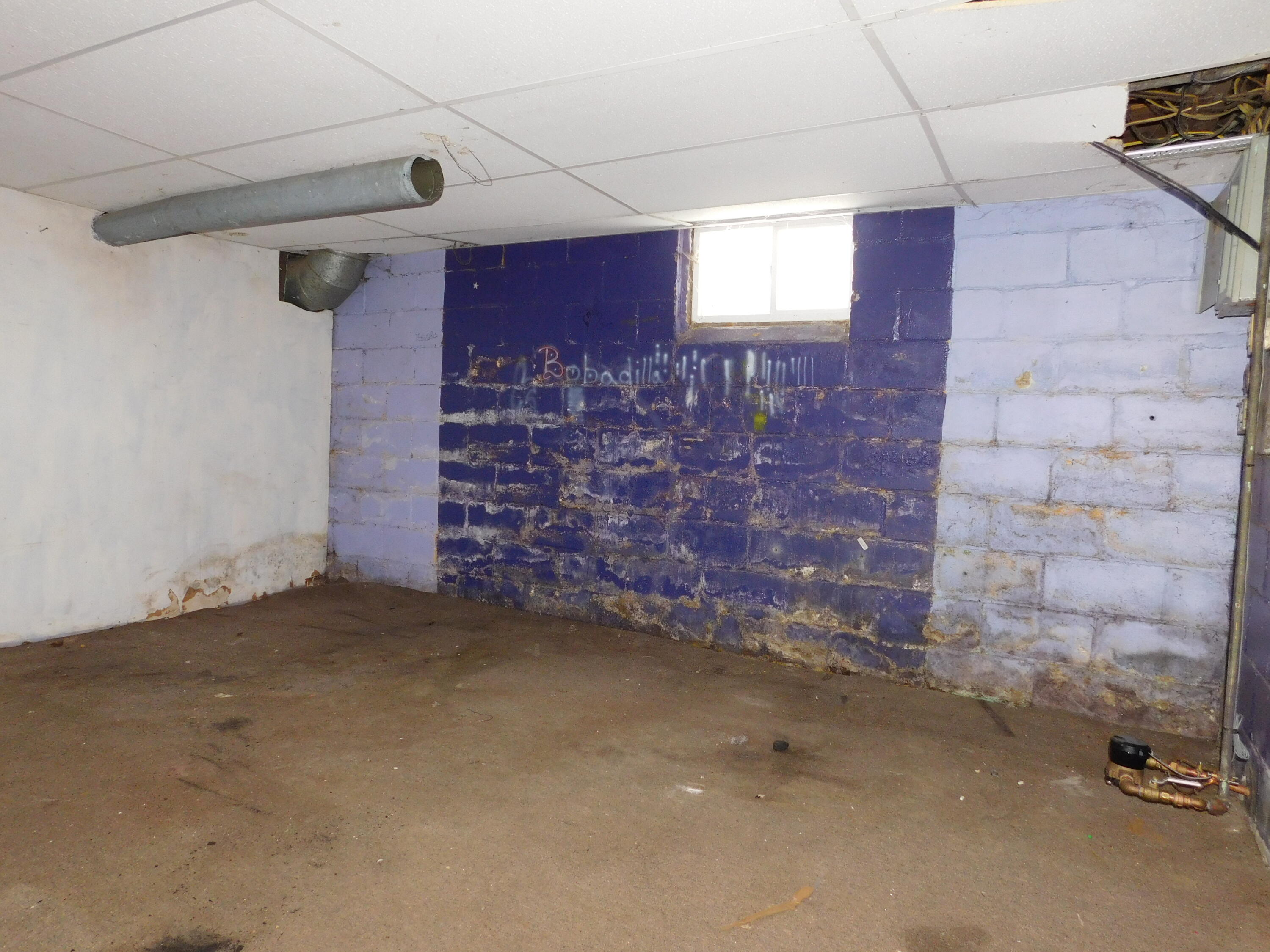 1622 Olive Street Kalamazoo, MI 49001 - Photo 19 of 26 DSCN8228