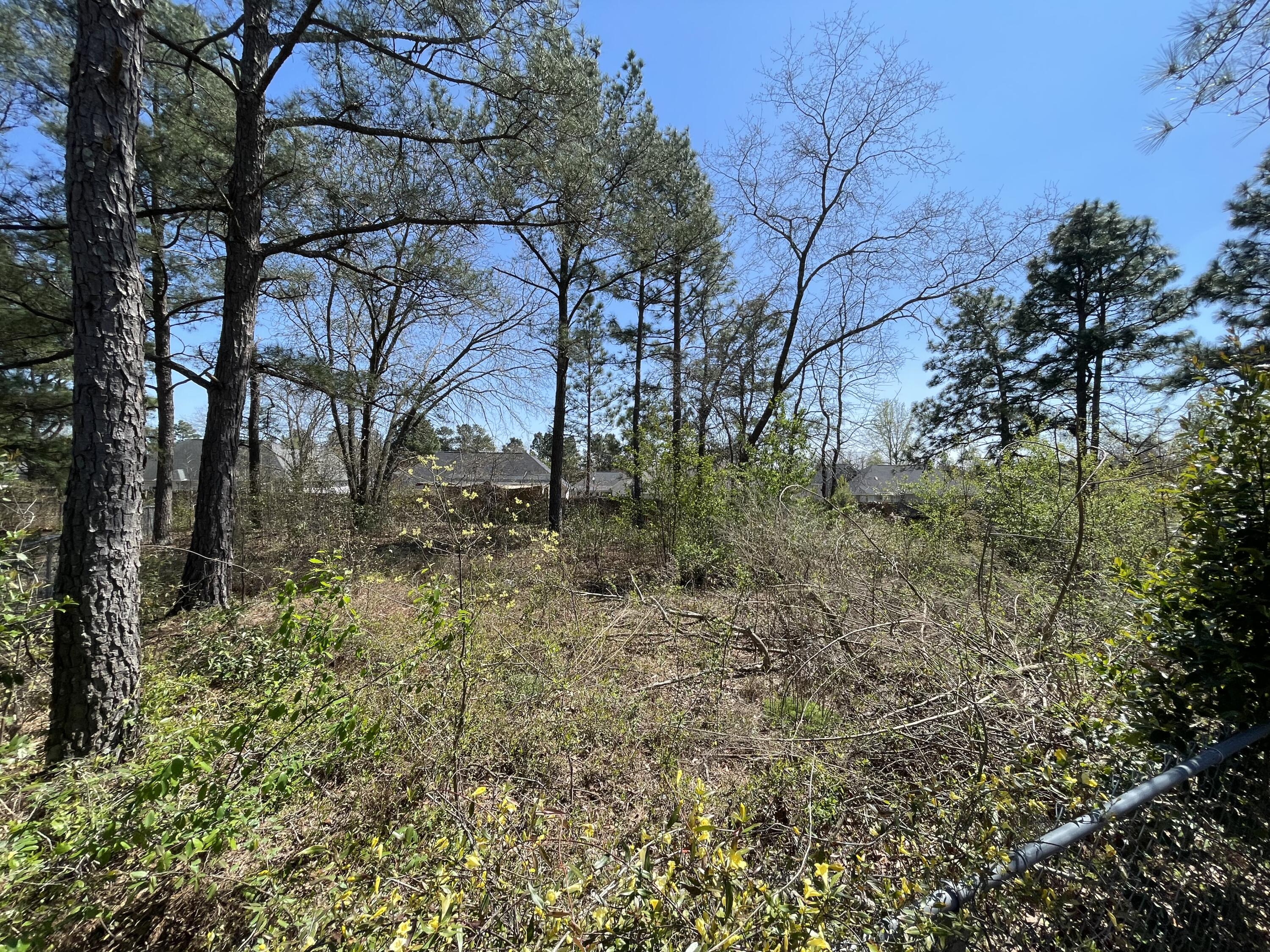 237 Sudlow Ridge Road North Augusta, SC 29841 - Photo 28 of 28