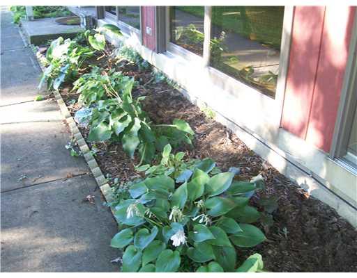 233 Reiber Road Renfrew, PA 16053 - Photo 18 of 18 Yard/Garden. Hostas garden for lush beauty