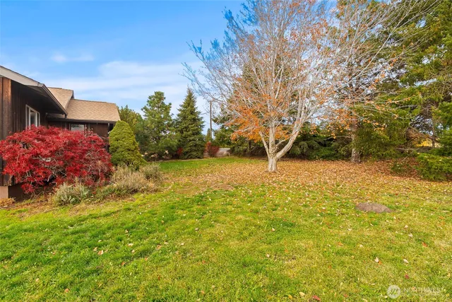 a yellow house with trees in front of it