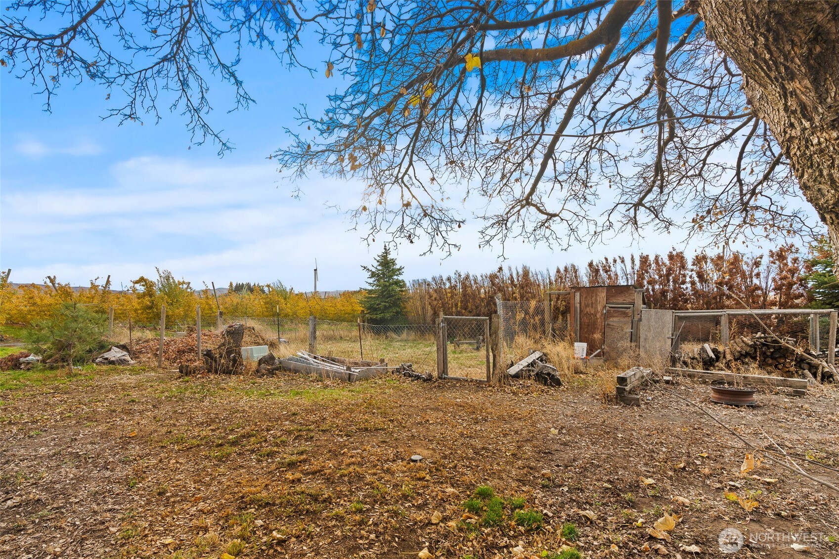 750 Potter Road Tieton, WA 98947 - Photo 27 of 36 a view of outdoor space with playground and green space