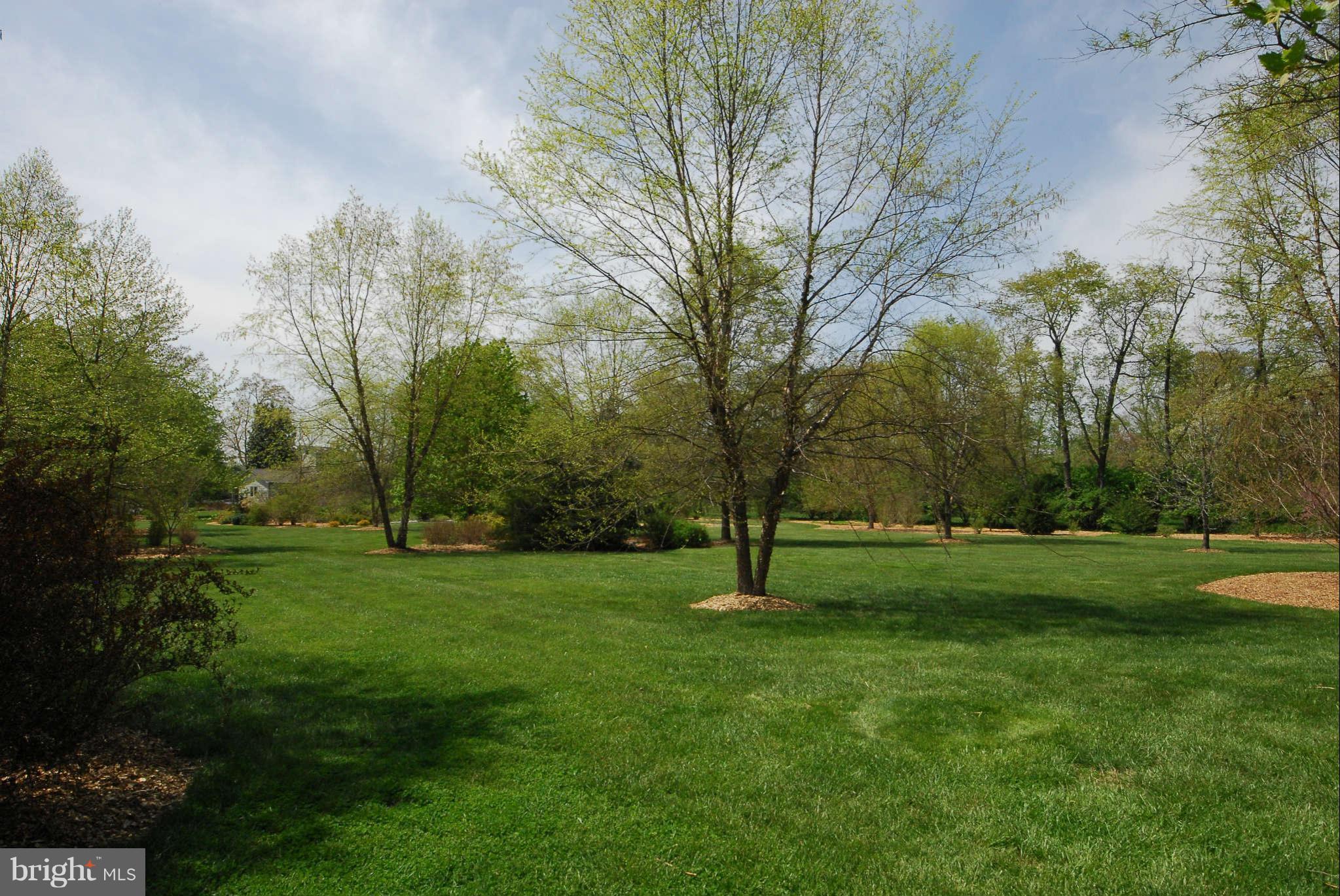 892 Childs Point Road Annapolis, MD 21401 - Photo 21 of 28 Private yard