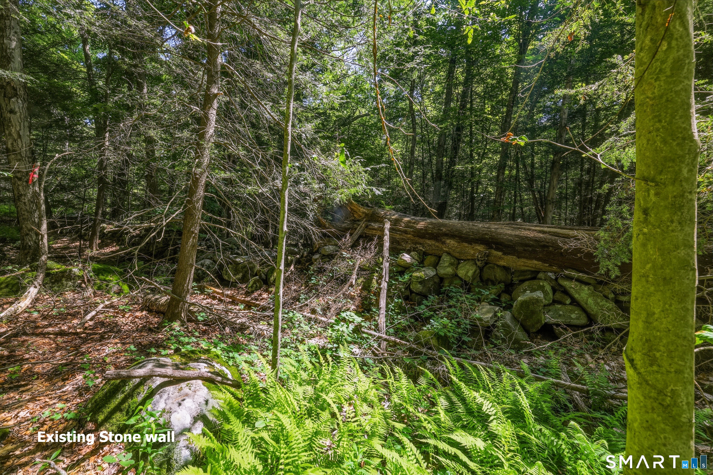 Ashley Road Winsted, CT 06098 - Photo 8 of 19