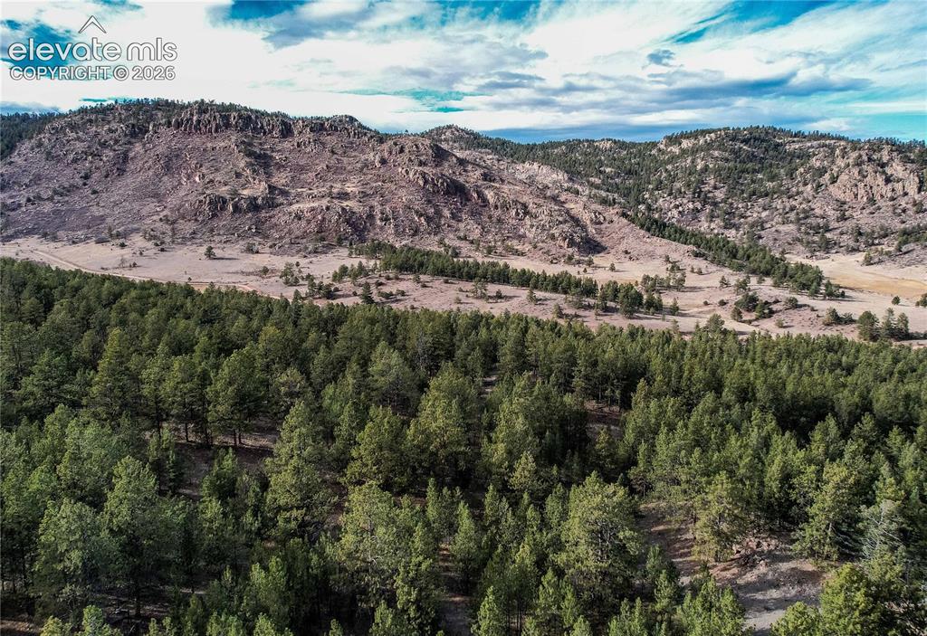 0 Twinkle Road Guffey, CO 80820 - Photo 20 of 20