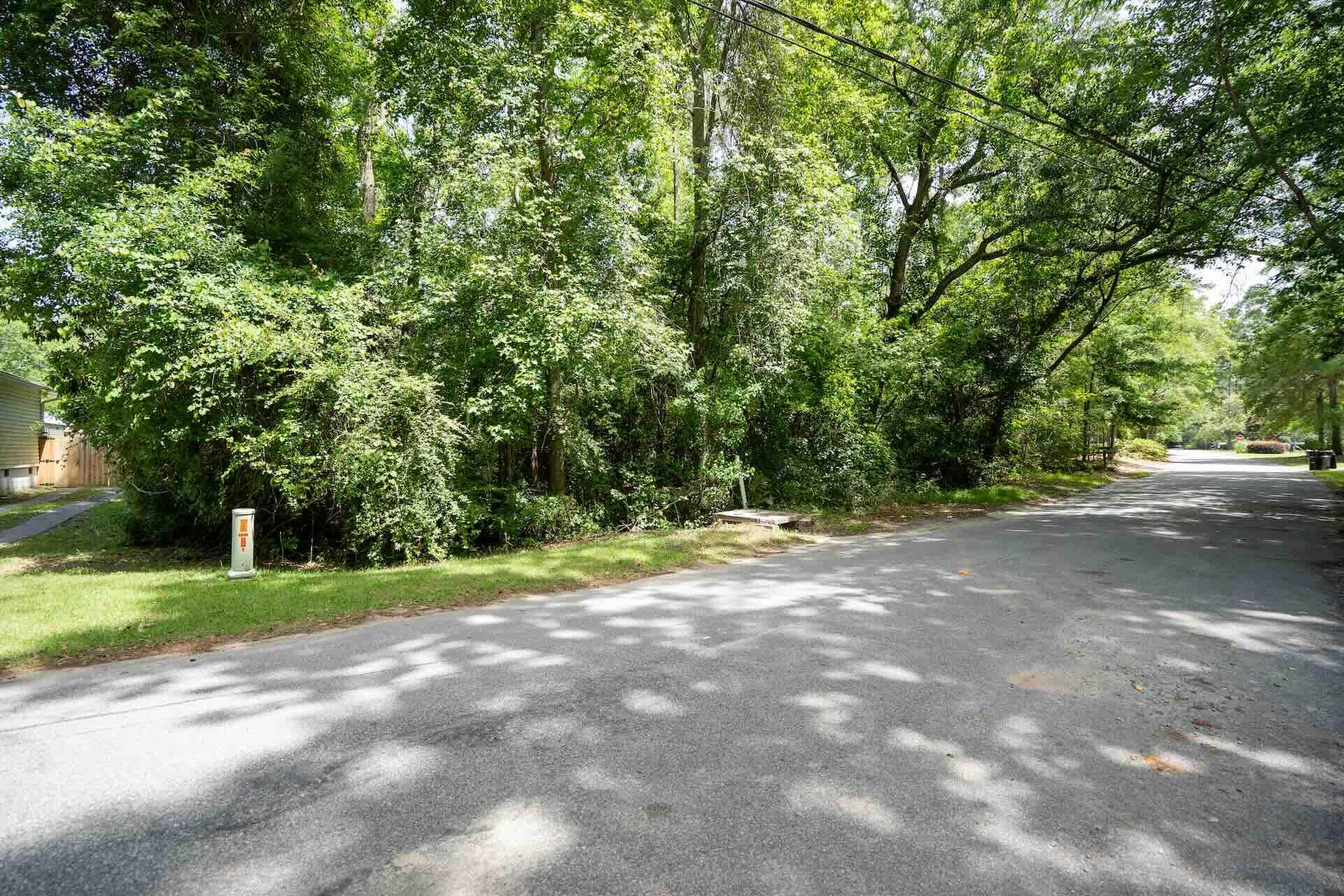 0 Sable Street Walterboro, SC 29488 - Photo 6 of 14 Pic6