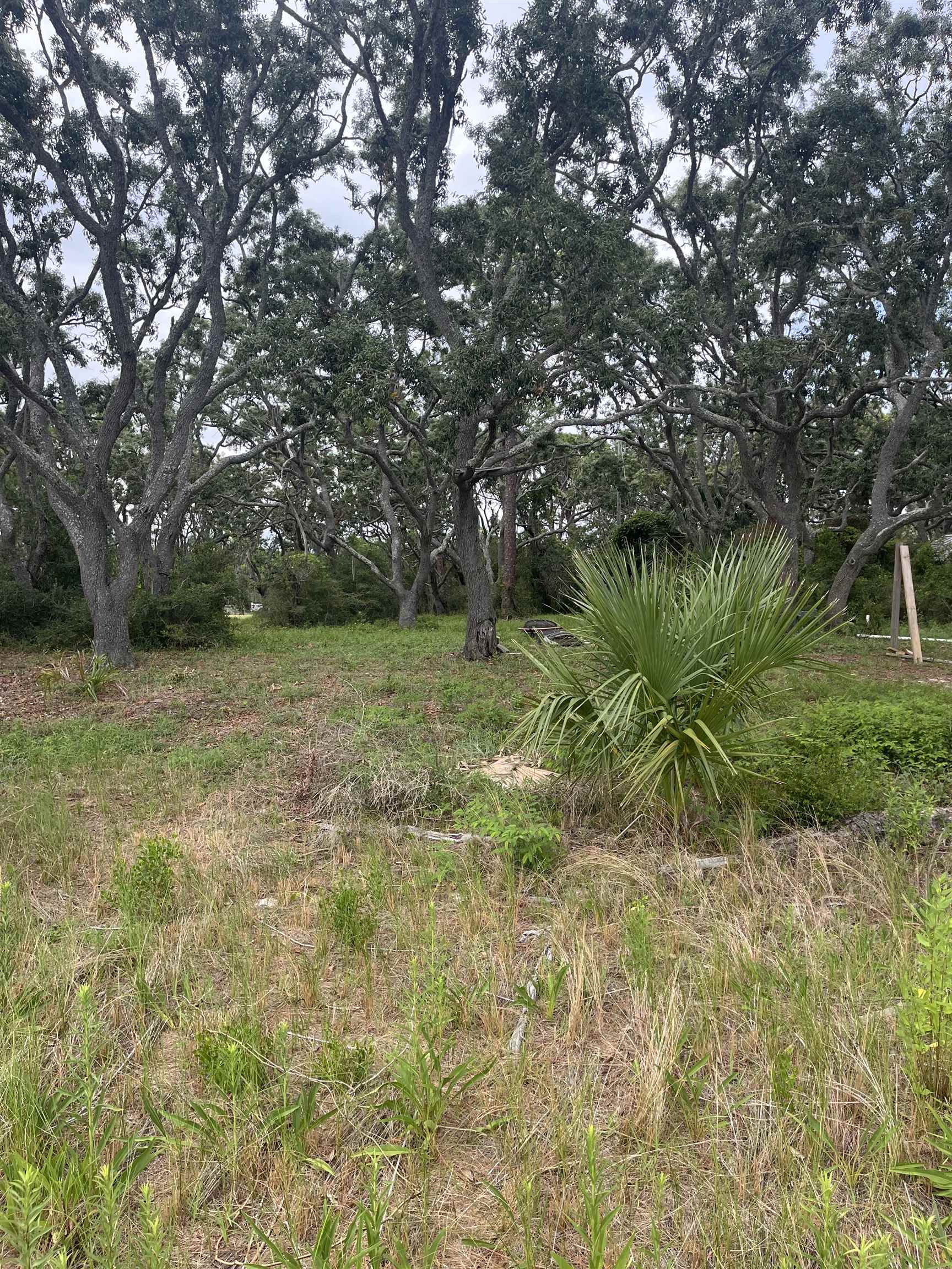599 Mashes Sands Road Panacea, FL 32346 - Photo 5 of 7