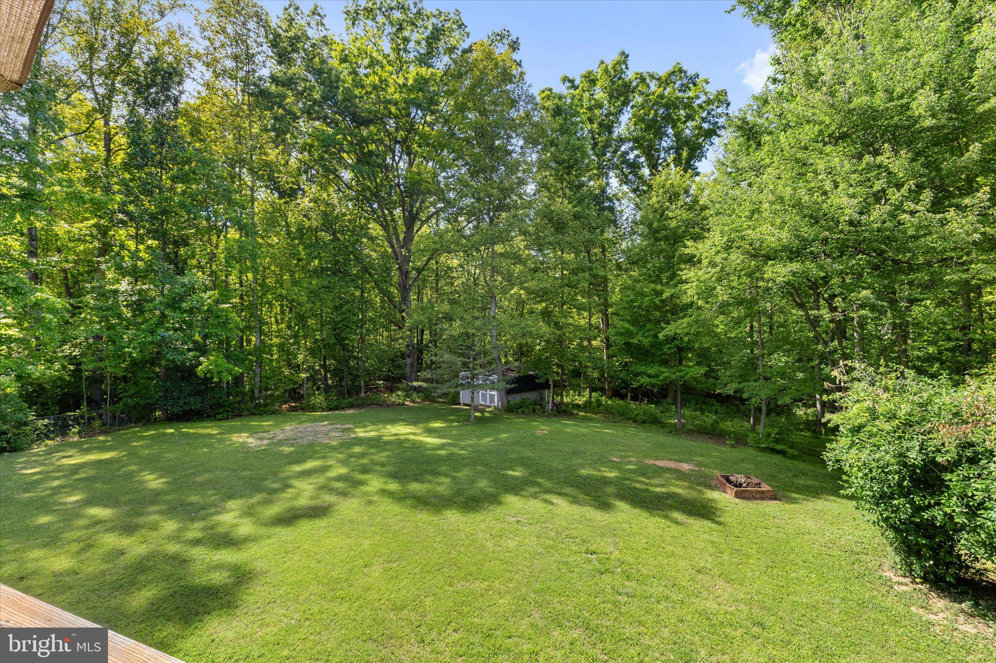230 Richards Ferry Road Fredericksburg, VA 22406 - Photo 57 of 96 Serene green oasis in the woods.
