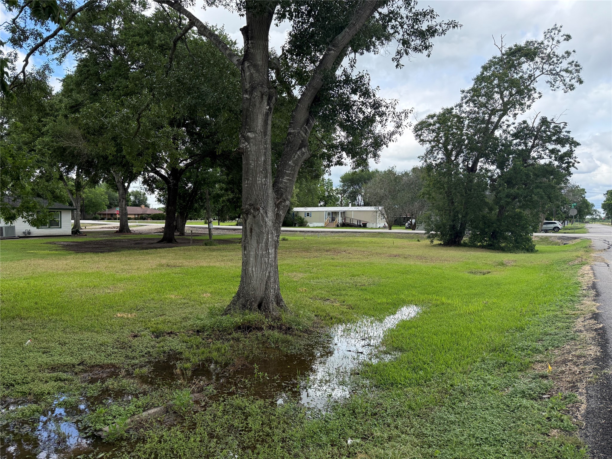 407 North 3rd Street Beasley, TX 77417 - Photo 9 of 12 a view of green field with trees around