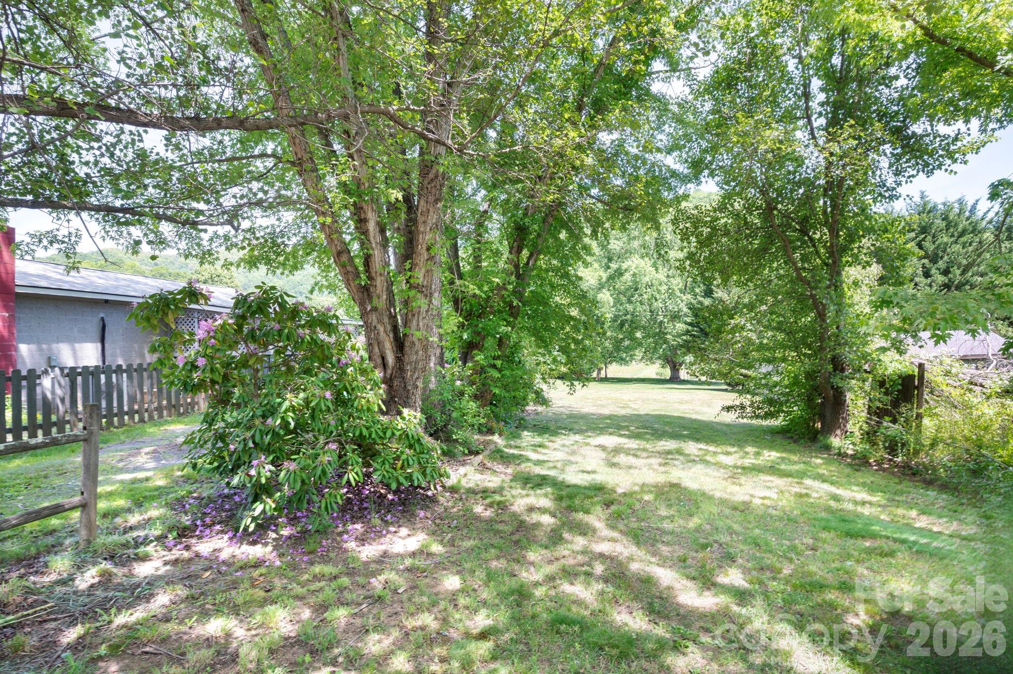 2802 Beaverdam Road Canton, NC 28716 - Photo 3 of 26