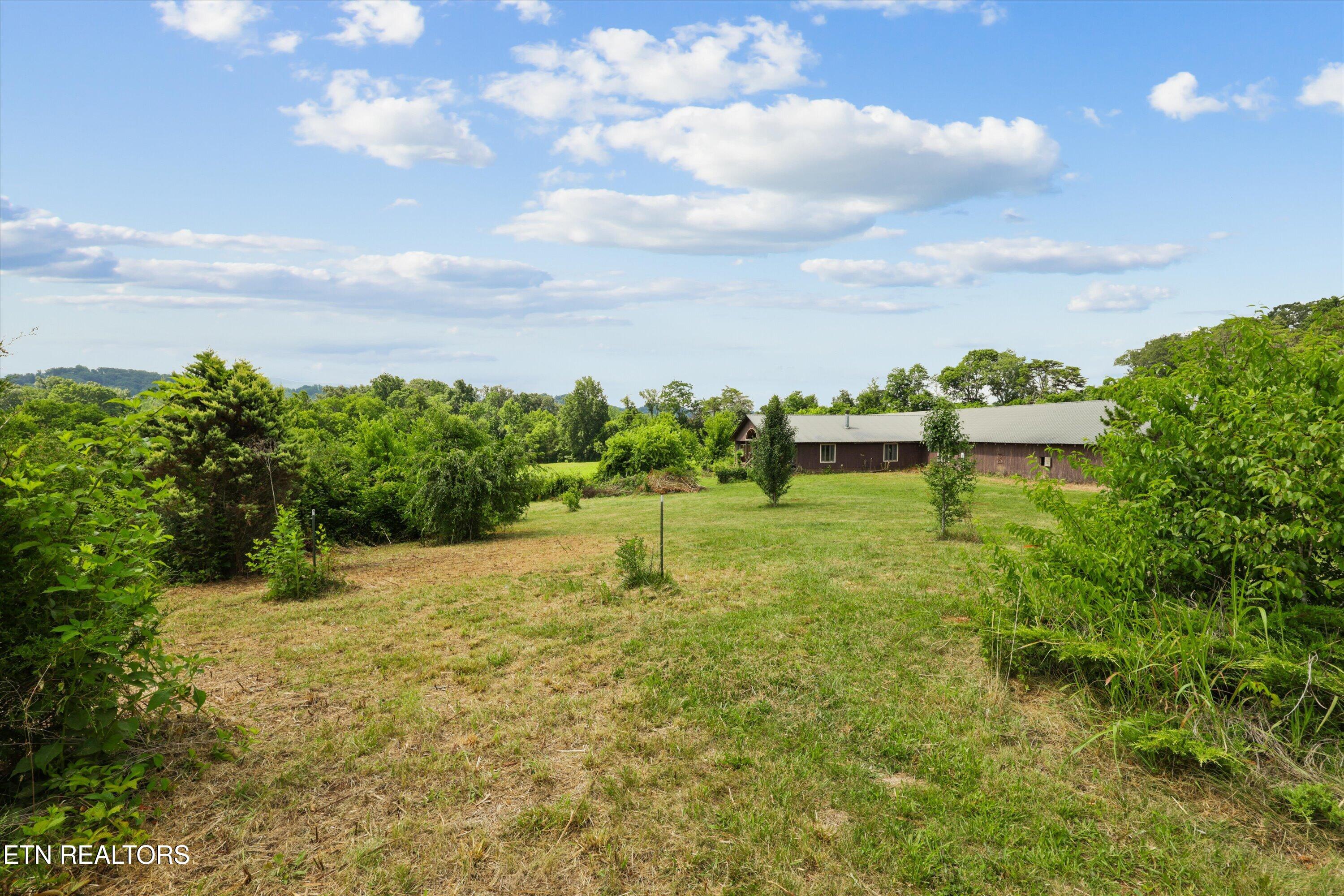 3030 New Blockhouse Road Maryville, TN 37803 - Photo 14 of 60 56-3030 New Blockhouse Rd68