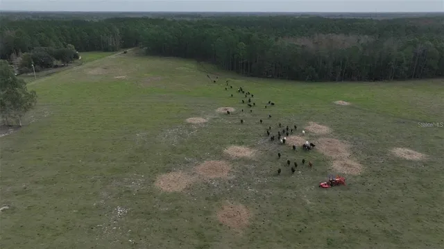 a view of a dry yard