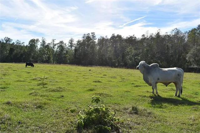 a view of a golf course with a bench