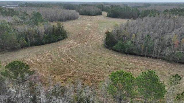 a view of a dry yard with green space