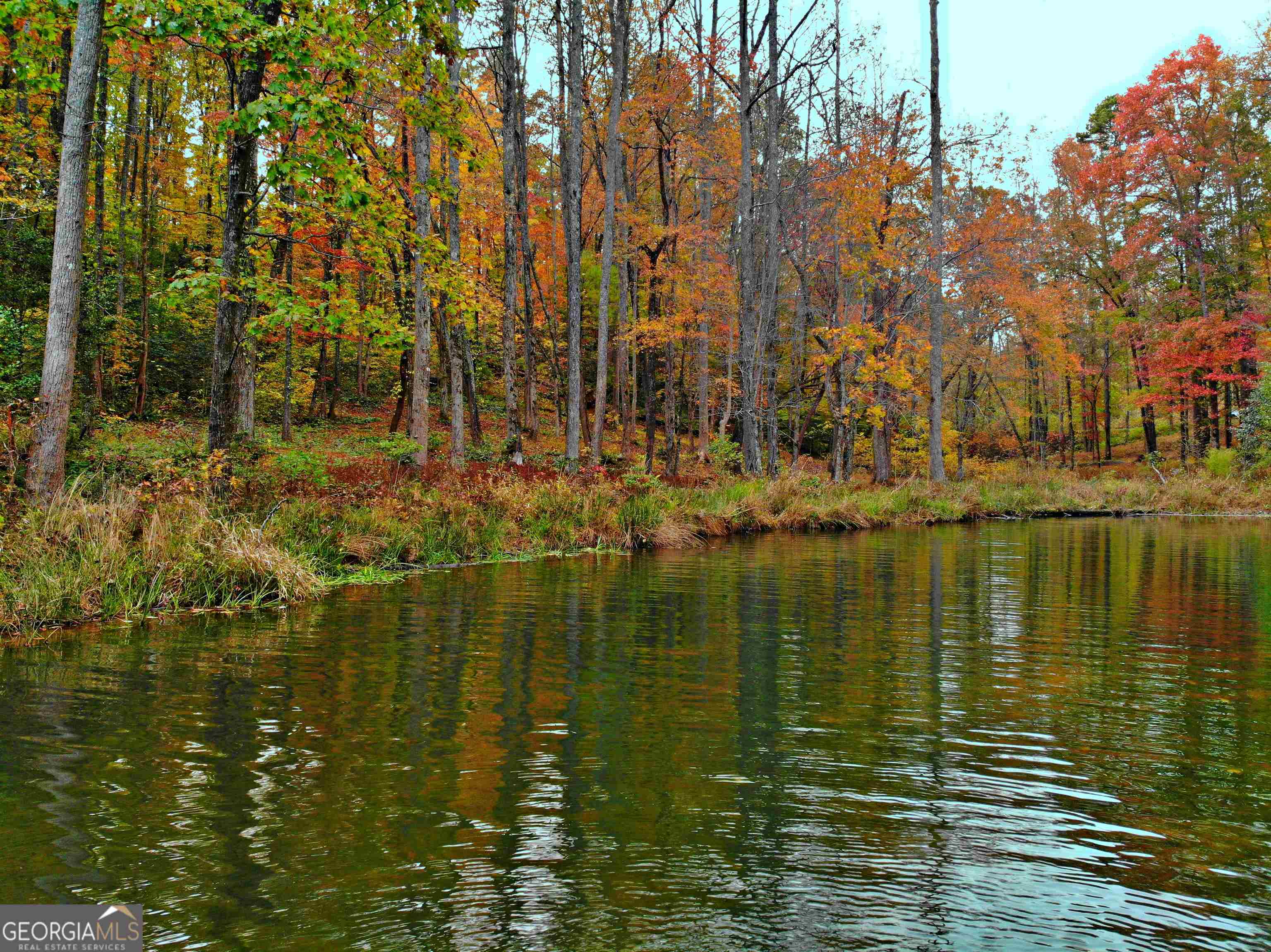 0 North Laceola Rd Unit 157  