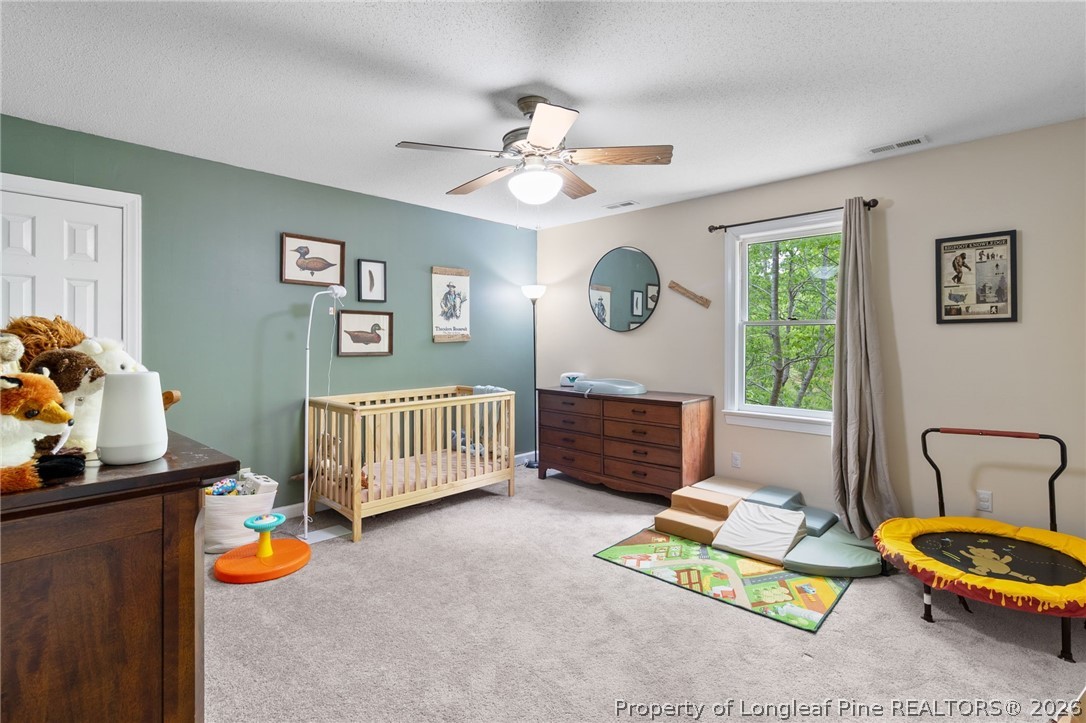 751 Sheriff Watson Road Sanford, NC 27332 - Photo 27 of 43