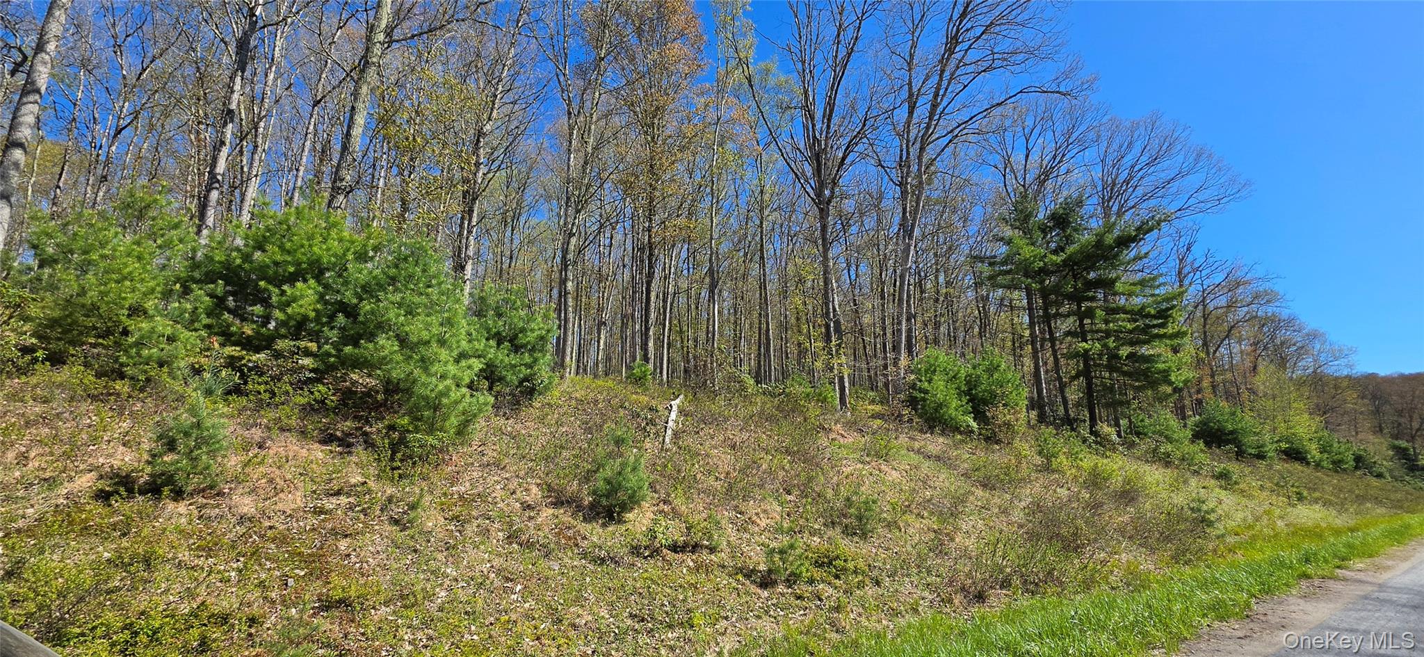 Lot 82 Perry Pond Road Narrowsburg, NY 12764 - Photo 13 of 14